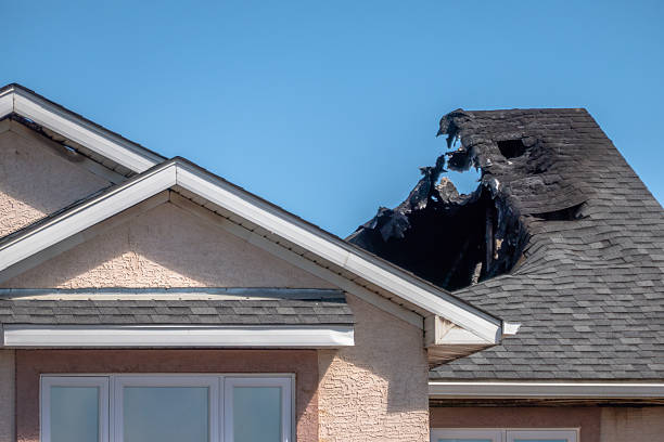 Top rated local Odor Removal specialists in Ogilvie, MN